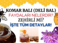 Komar Balı Faydaları Nelerdir? Zehirli Mi? Şaşıracaksınız!￼